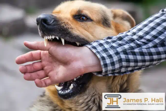 Dog bite lawsuits Browntown, Wilmington, DE